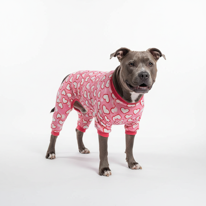 Large grey pitbull wearing pink heart print dog pajamas